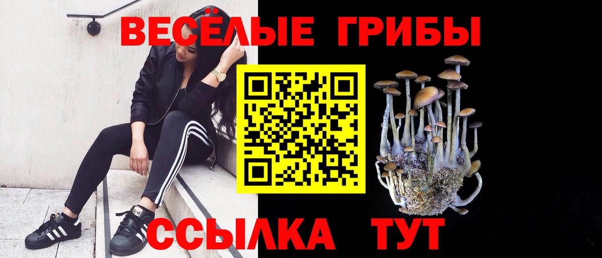 Ливны  как найти   Галлюциногенные грибы Psilocybe  Вход с VPN  Псилоцибиновые грибы Cubensis 